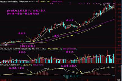 FED内部仍“鹰风阵阵”！达拉斯联储主席：不排除再次加息的可能性