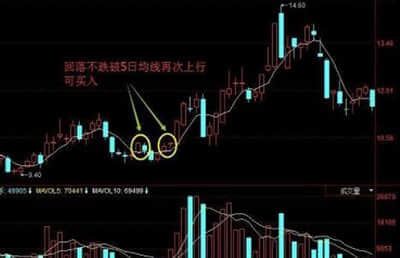 “宝宝”变“宝总”！65%的产品秒杀银行定期，这类产品直接闭眼买？